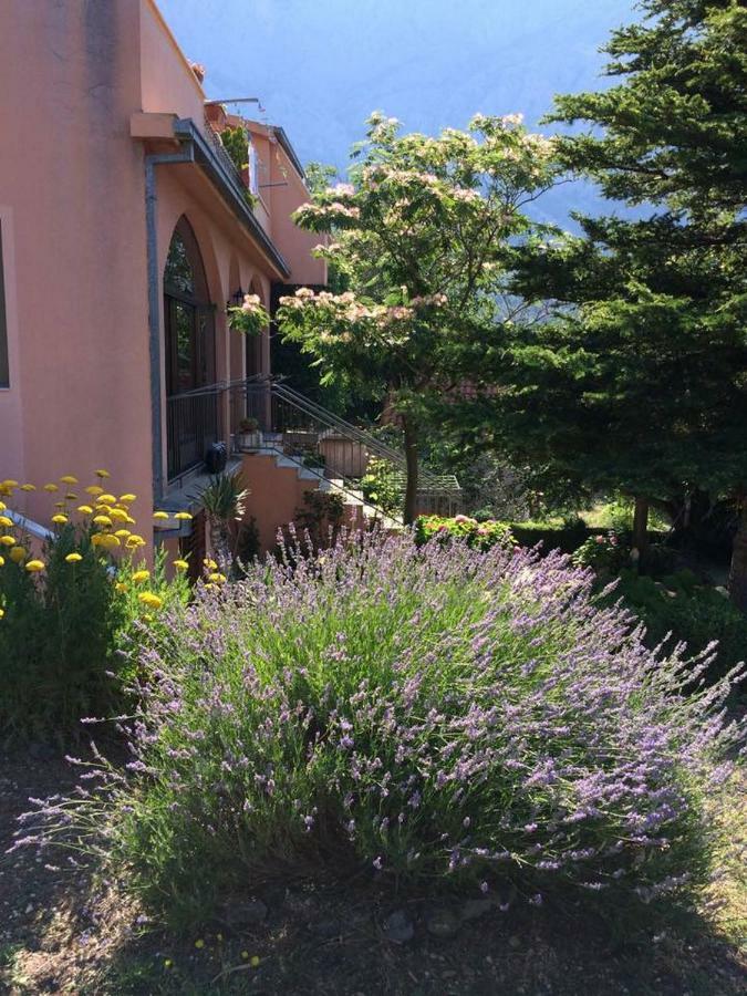 Apartments Bella Vista Makarska Luaran gambar